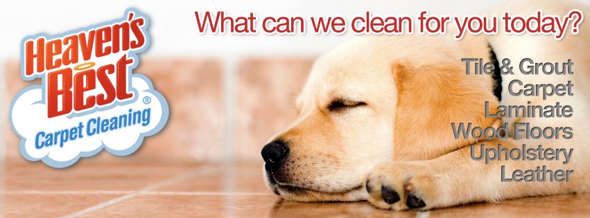 What can Heaven's Best clean for you? Carpets, Tile and Grout, Hardwood Floors, Upholstery?